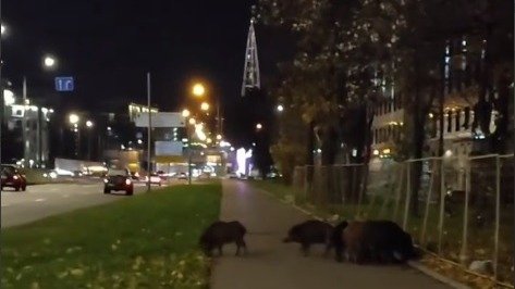 Скриншот видео: «Мегаполис»