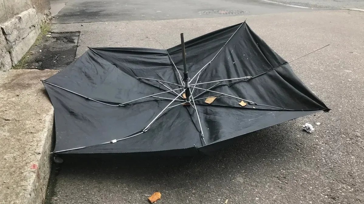 Фото: Олег Золото / MR7