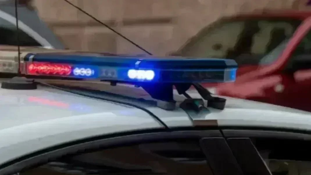 Фото: Олег Золото / MR7