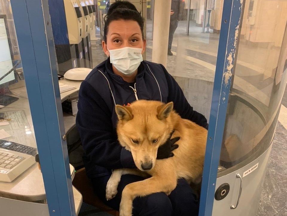 Фото: пресс-служба ГУП «Петербургский метрополитен»