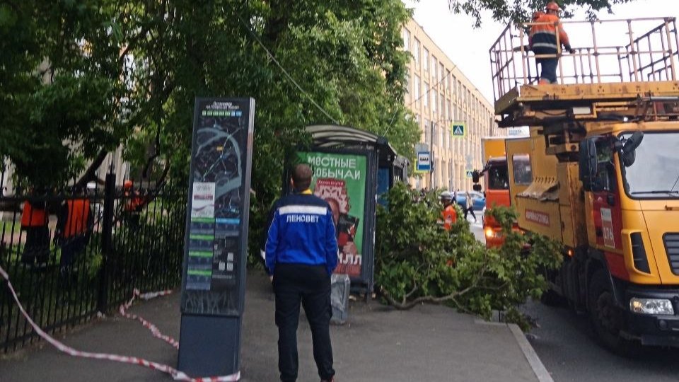 Фото: «Мегаполис»