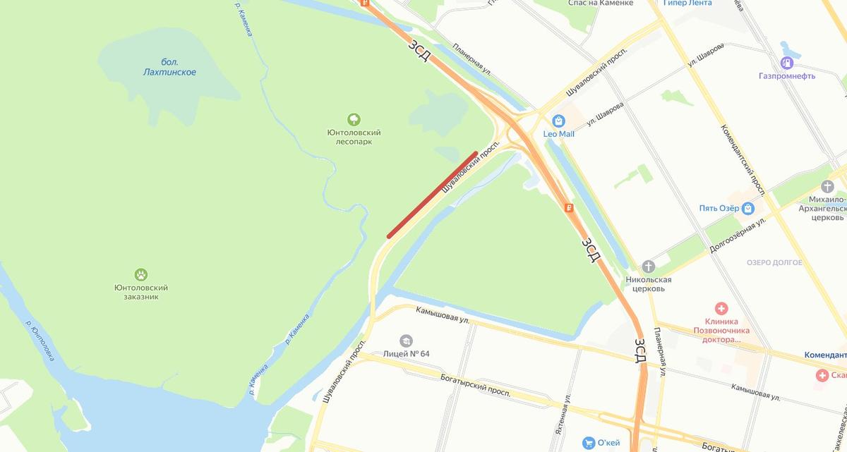 Место, где лягушки наиболее активно переходят дорогу. Иллюстрация: «Яндекс.Карты»