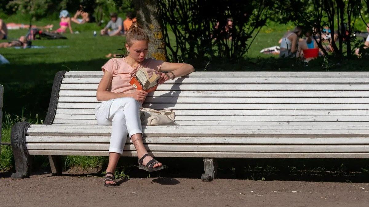 Четыре новых общественных пространства могут появиться в Приморском районе