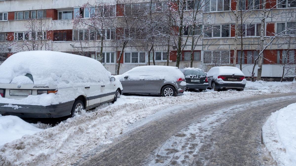 Фото: Олег Золото / MR7