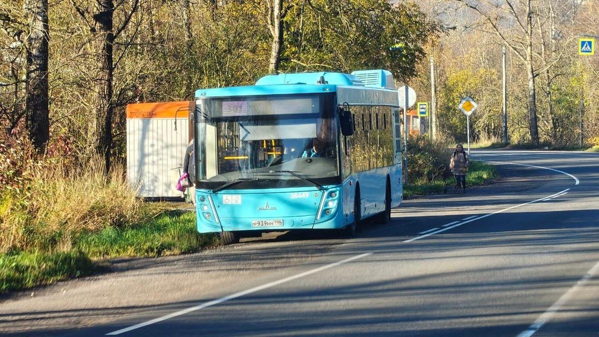 Фото: «Транспортный коллапс, Красное Село»