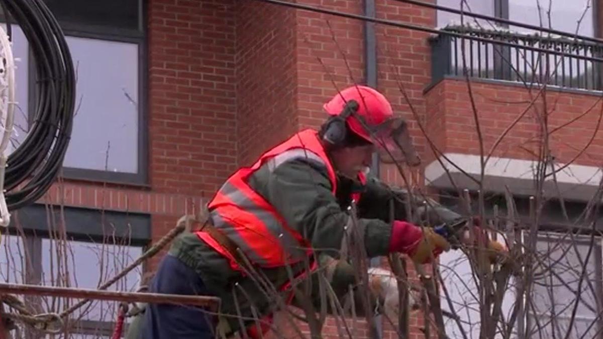 Скриншот видео комитета по благоустройству Петербурга