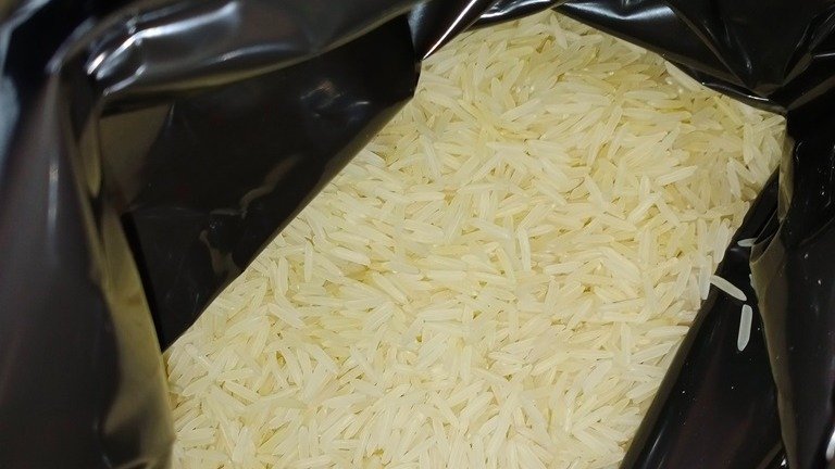 Фото: управление Россельхознадзора по Северо-Западу