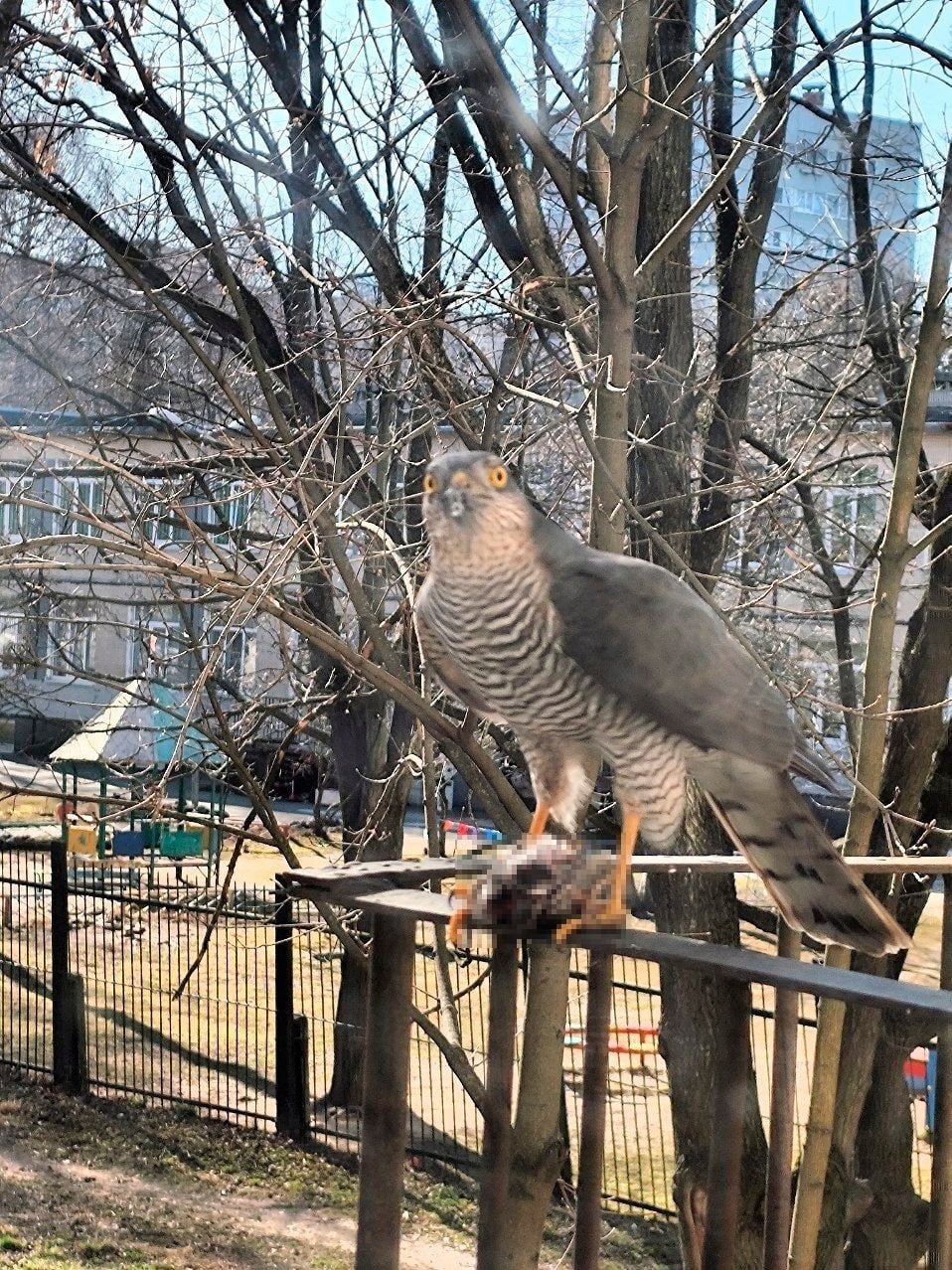 Фото: «Мегаполис»