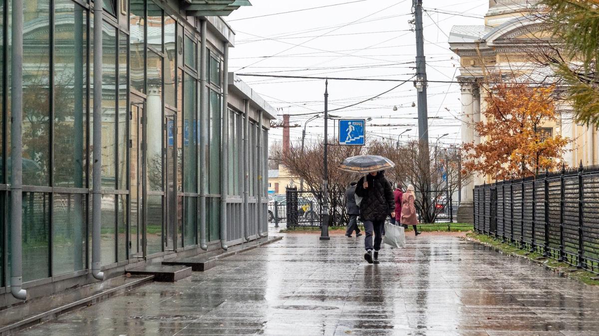 Фото: Олег Золото / МР7
