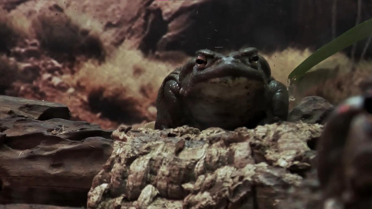 Фото: telegram-канал Ленинградского зоопарка