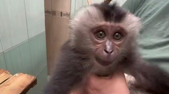 Скриншот видео: Ленинградский зоопарк