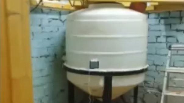 Скриншот видео: МВД по Петербургу и Ленобласти