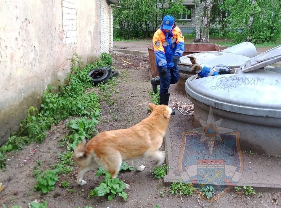Фото: Аварийно-спасательная служба Ленобласти