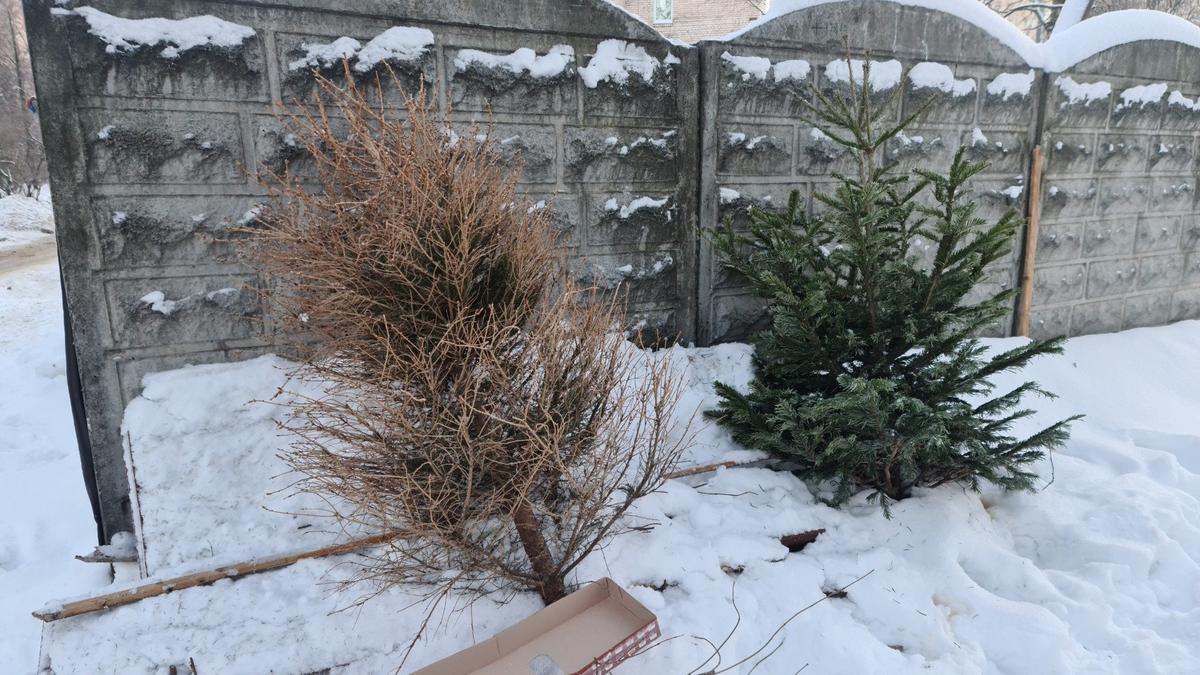 Фото: Олег Золото / MR7