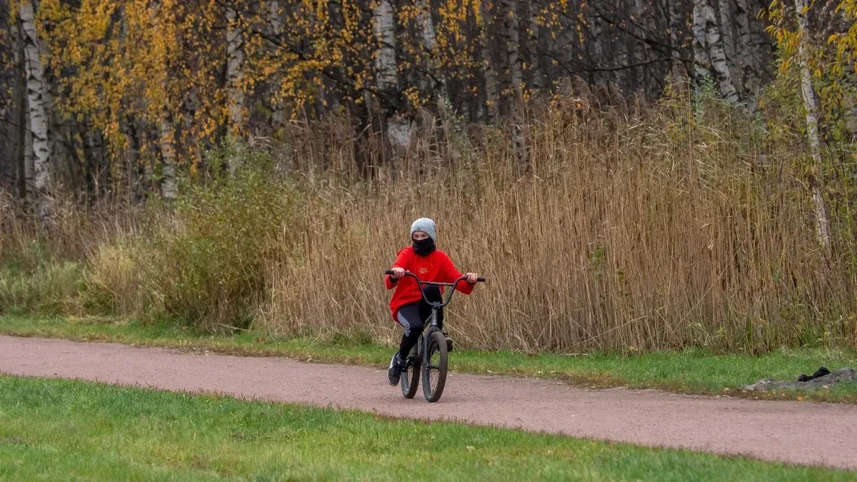 Девушка на Ford Fiesta сбила мальчика на велосипеде на Бестужевской улице