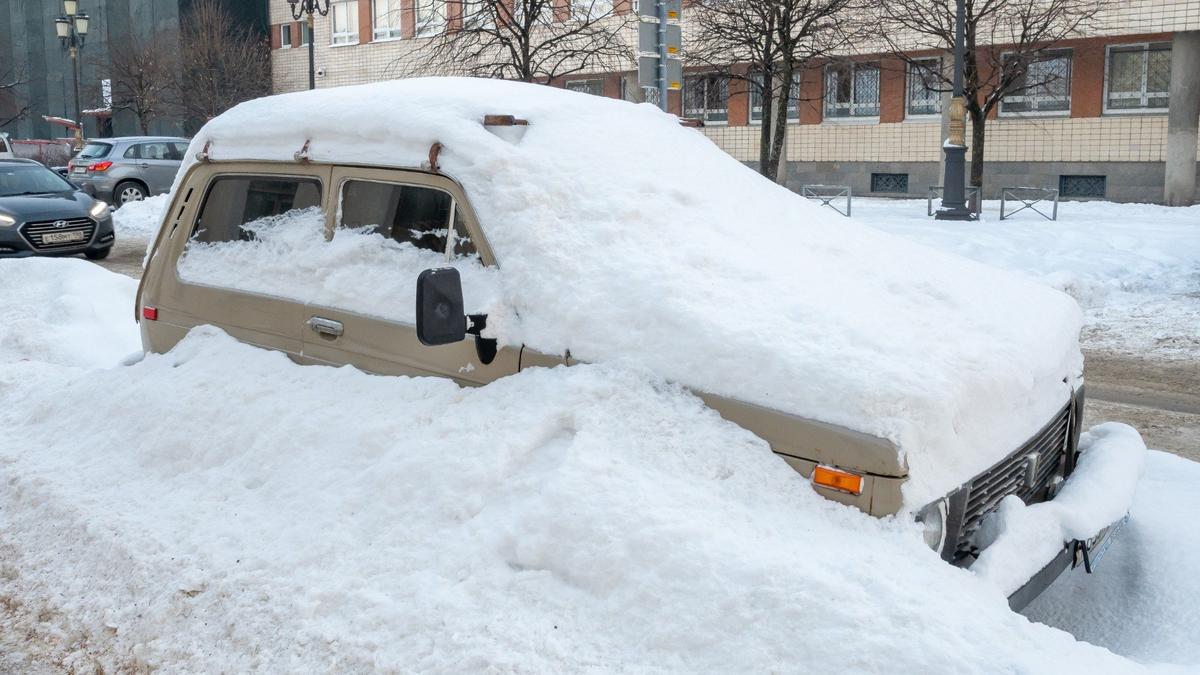 Фото: Олег Золото / MR7