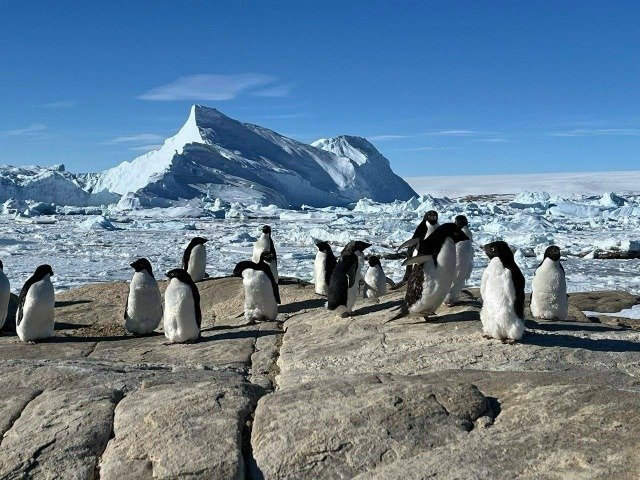 Фото: предоставлено организаторами проекта