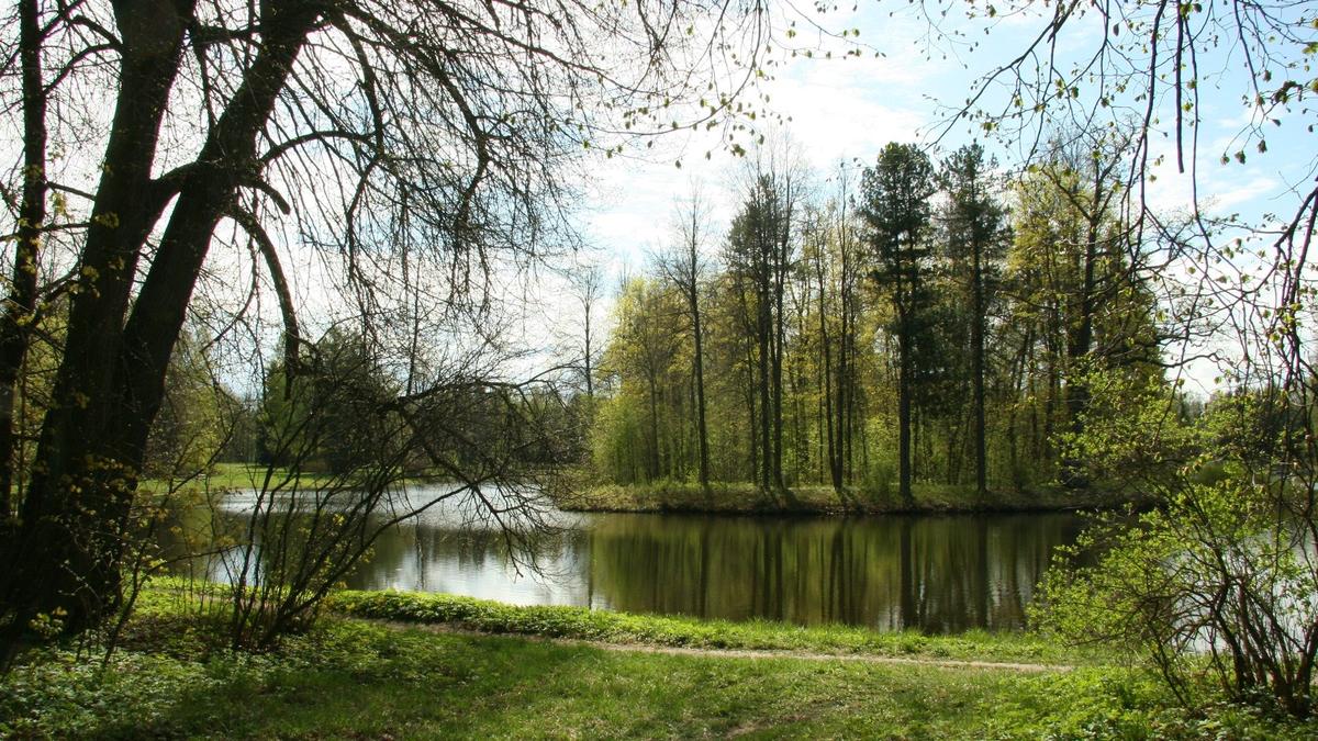 Остров Ливен. Фото: Светлана Федорова / ГМЗ «Павловск»