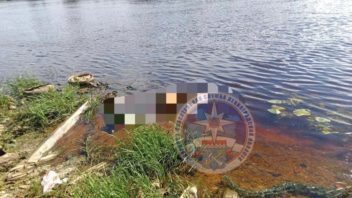 Фото: Аварийно-спасательная служба Ленобласти
