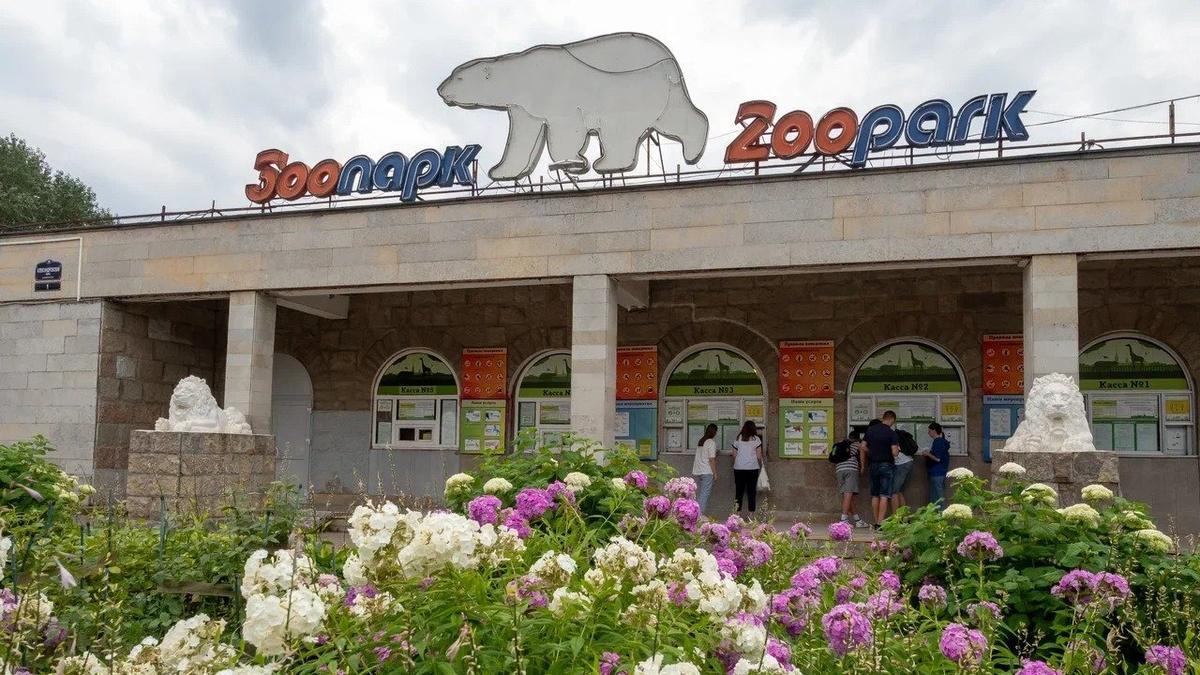 Концепцию реконструкции Ленинградского зоопарка разработают к лету