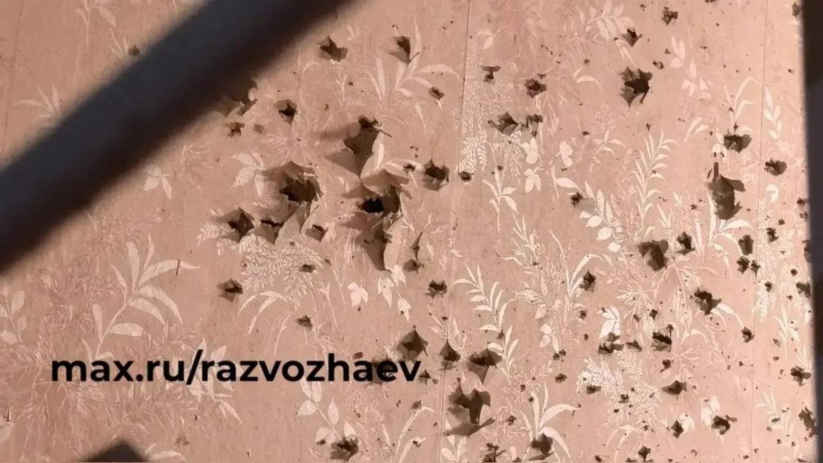 Фото: Михаил Развожаев