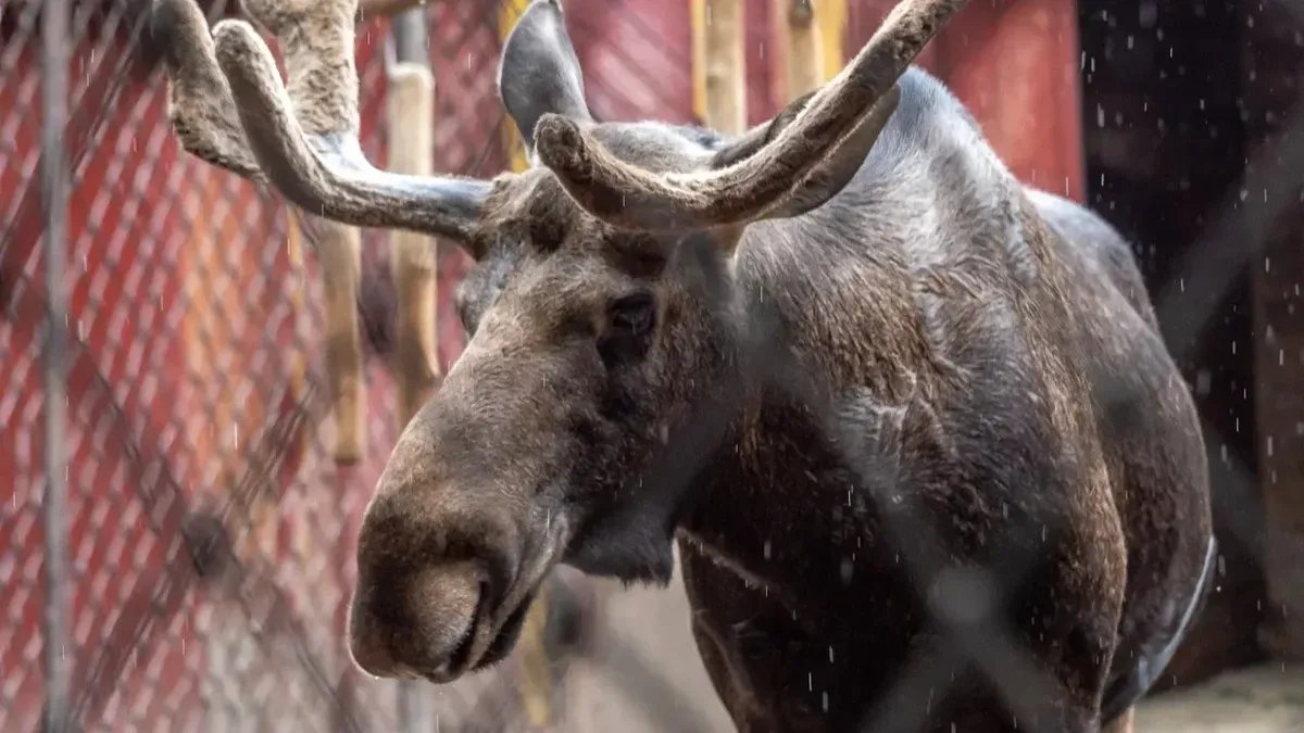 Фото: Олег Золото / MR7