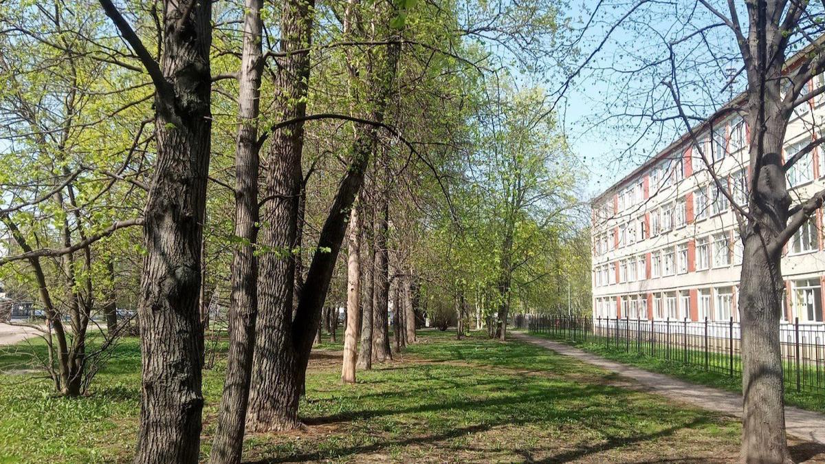 Суд рассмотрит дело о законности строительства ФНС у школы № 121