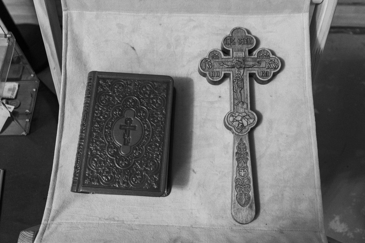 Фото: Евгений Шальнов