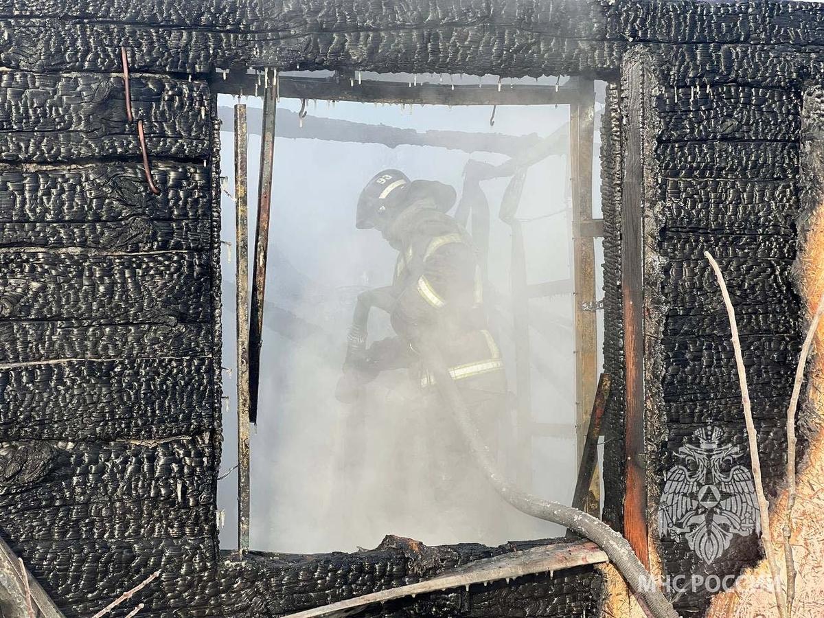 Фото: МЧС Ленинградской области