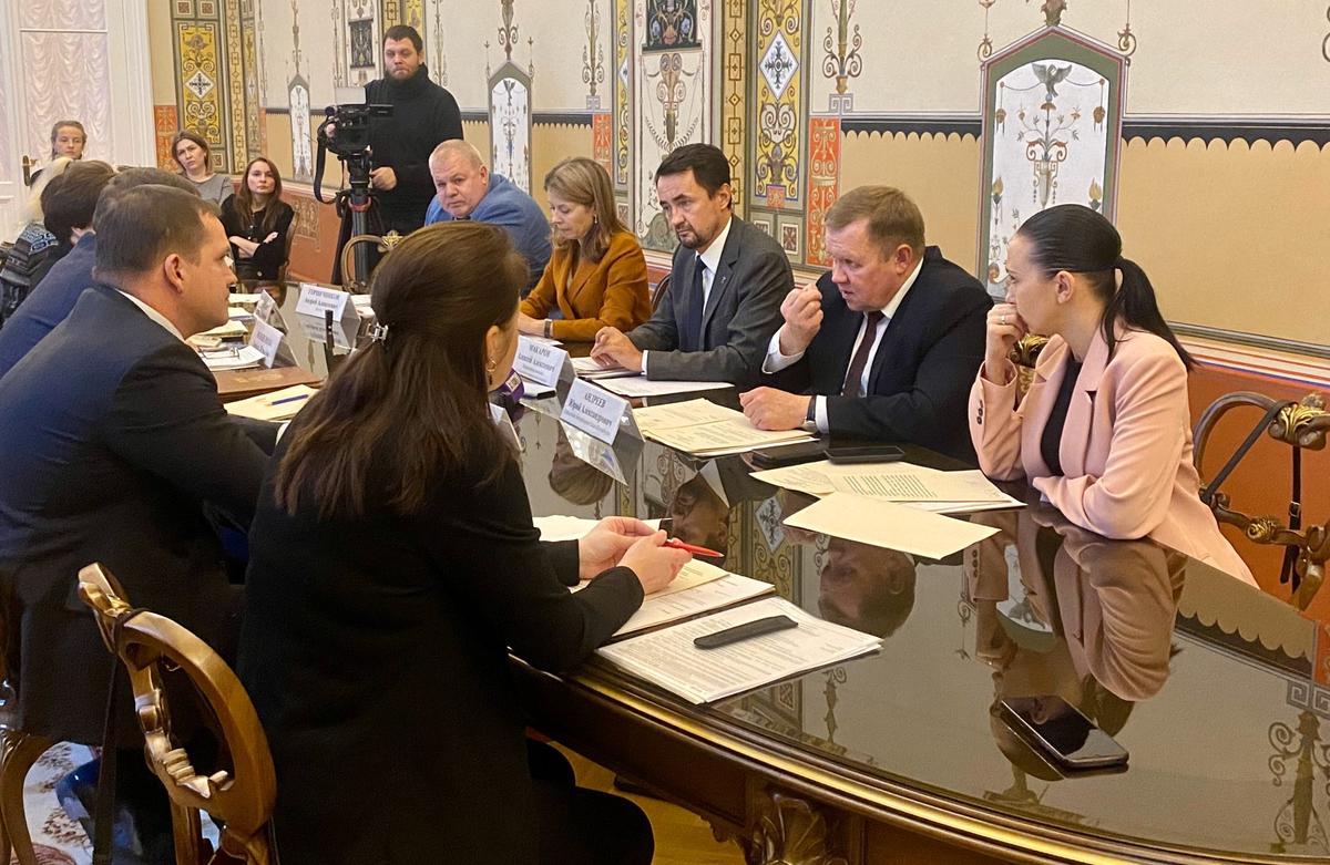 Заседание комиссии по экологии и приглашённых экспертов. Фото: Елизавета Наливайко