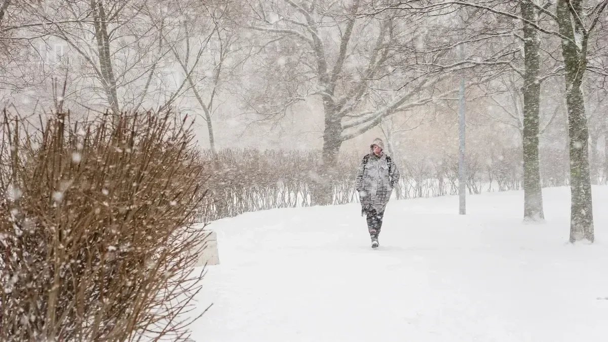 Петербург замело: в Пулково задержали вылет 16 рейсов, на дорогах пробки
