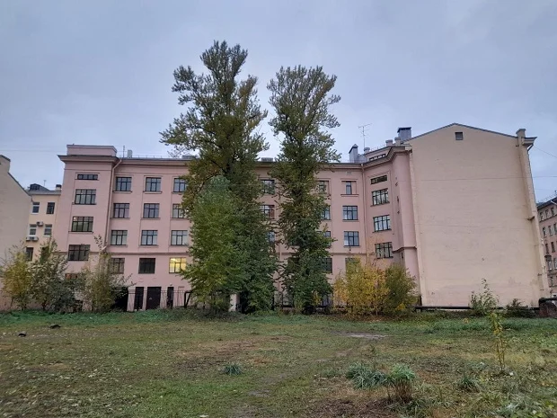 сад.png