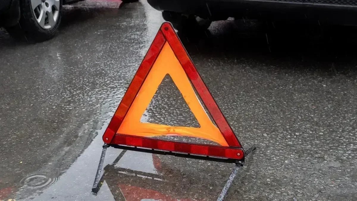 В Гатчинском районе Ленобласти в ДТП погиб местный житель