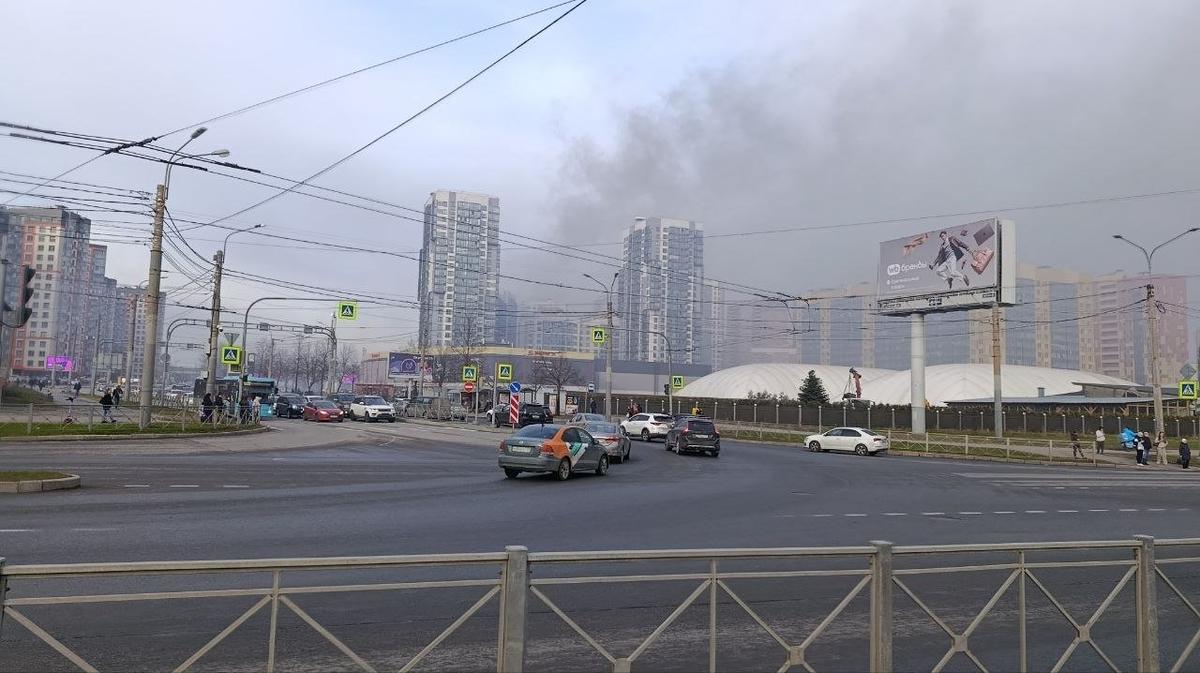 Фото: читатель МР7