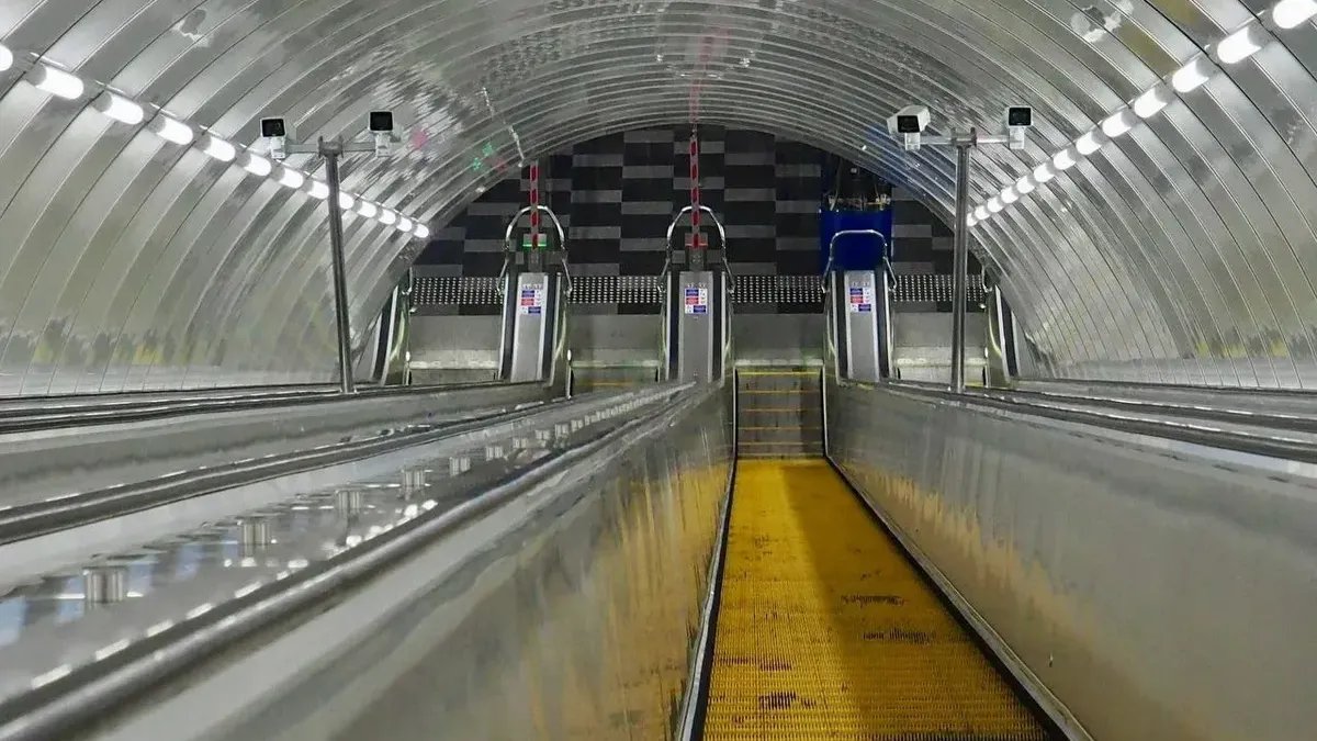 Фото: Павел Даиси / MR7