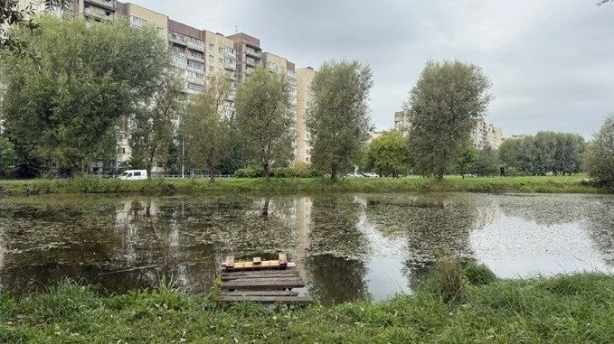 В Купчино благоустроят Карпатский сквер