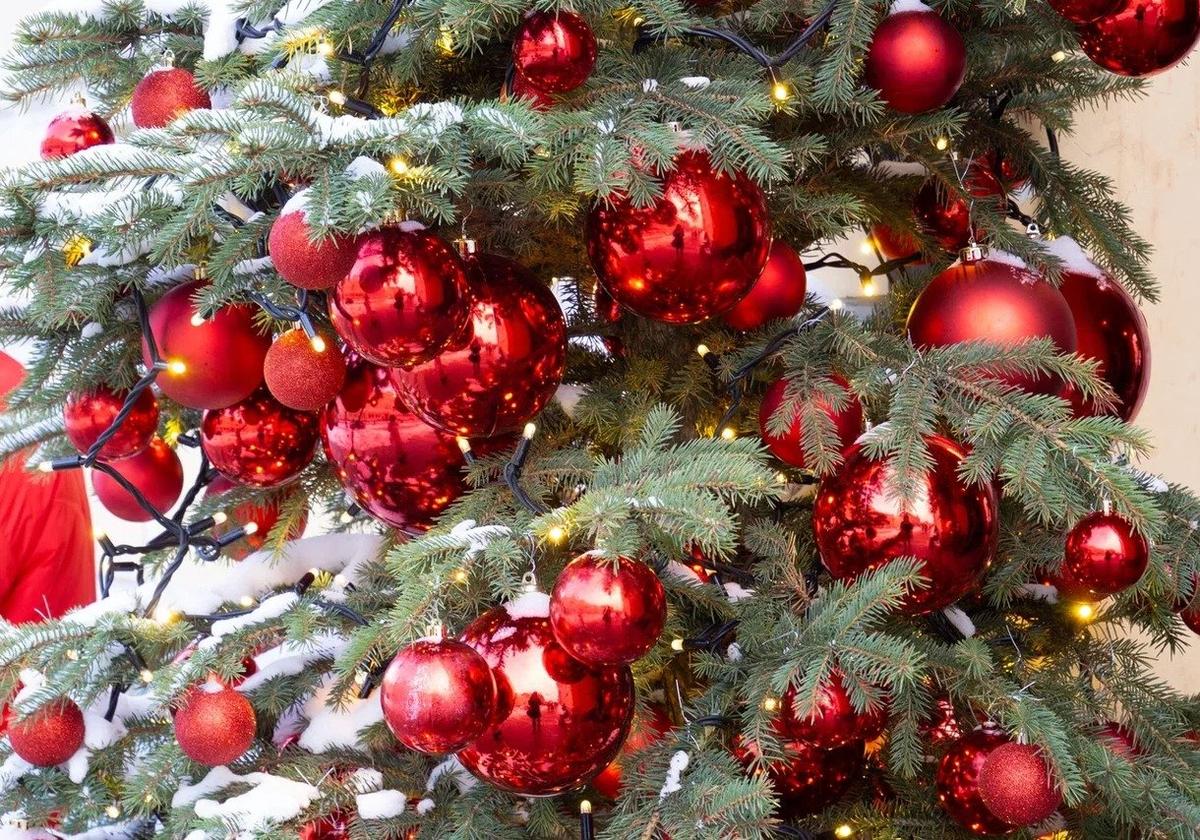 Фото: Дмитрий Абрамов / MR7