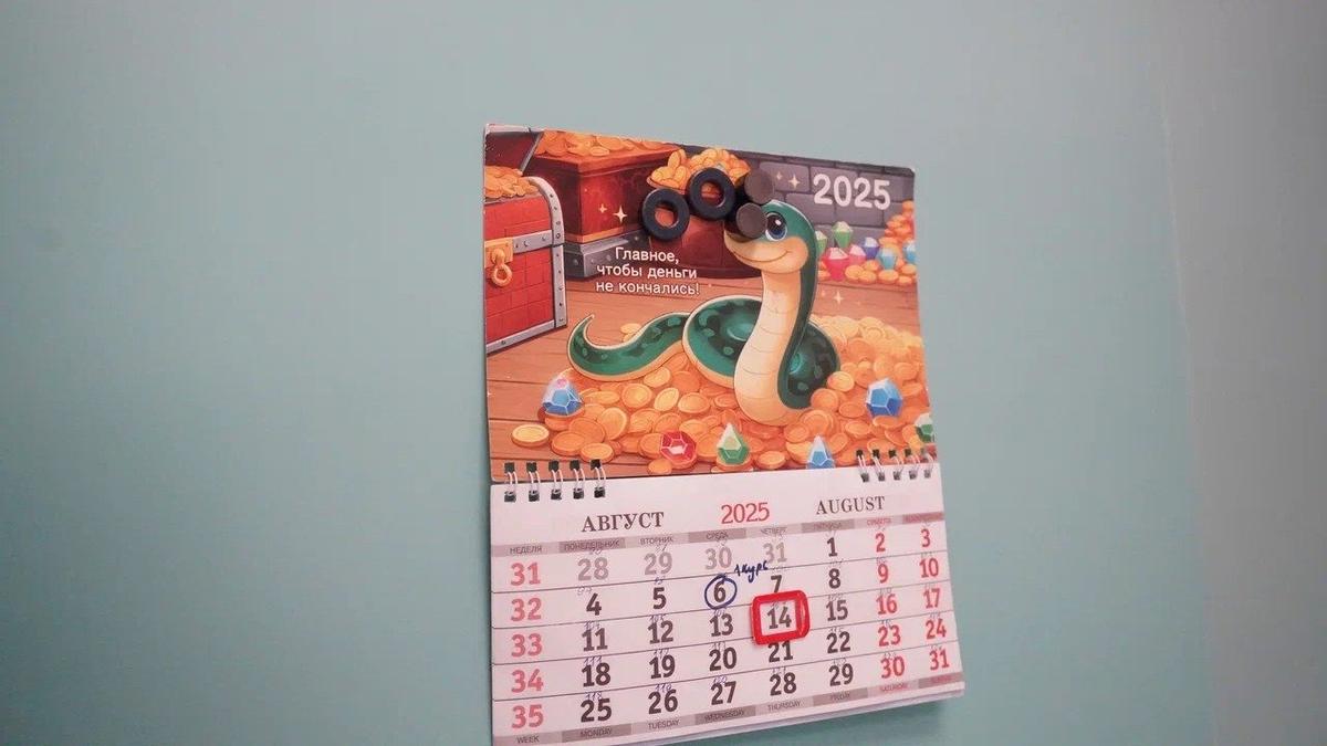 Фото: Павел Борисенко / MR7