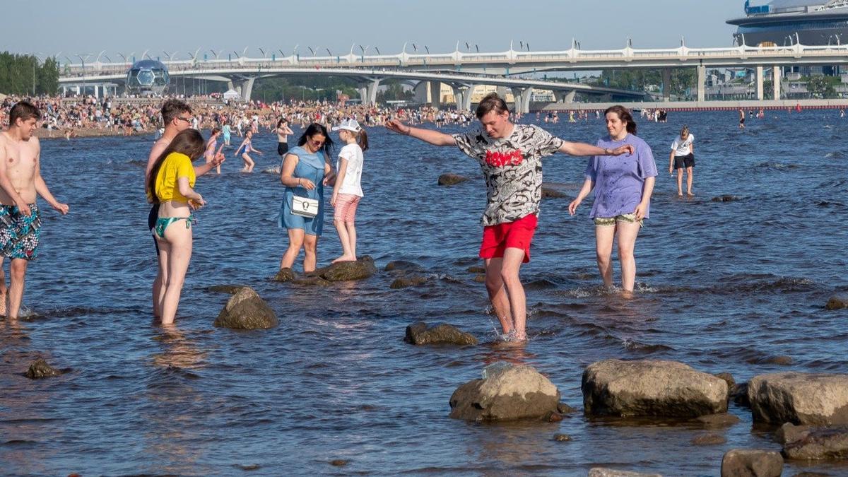 Цвет воды в реках и Финском заливе может измениться из-за повышения температуры