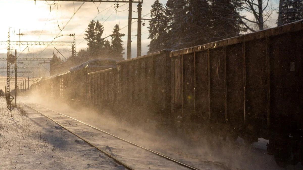 Фото: Олег Золото / MR7