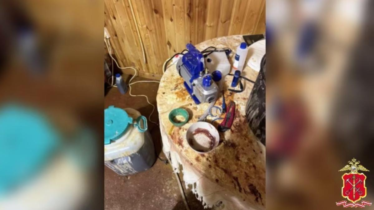 Фото: ГУ МВД по Петербургу и Ленобласти