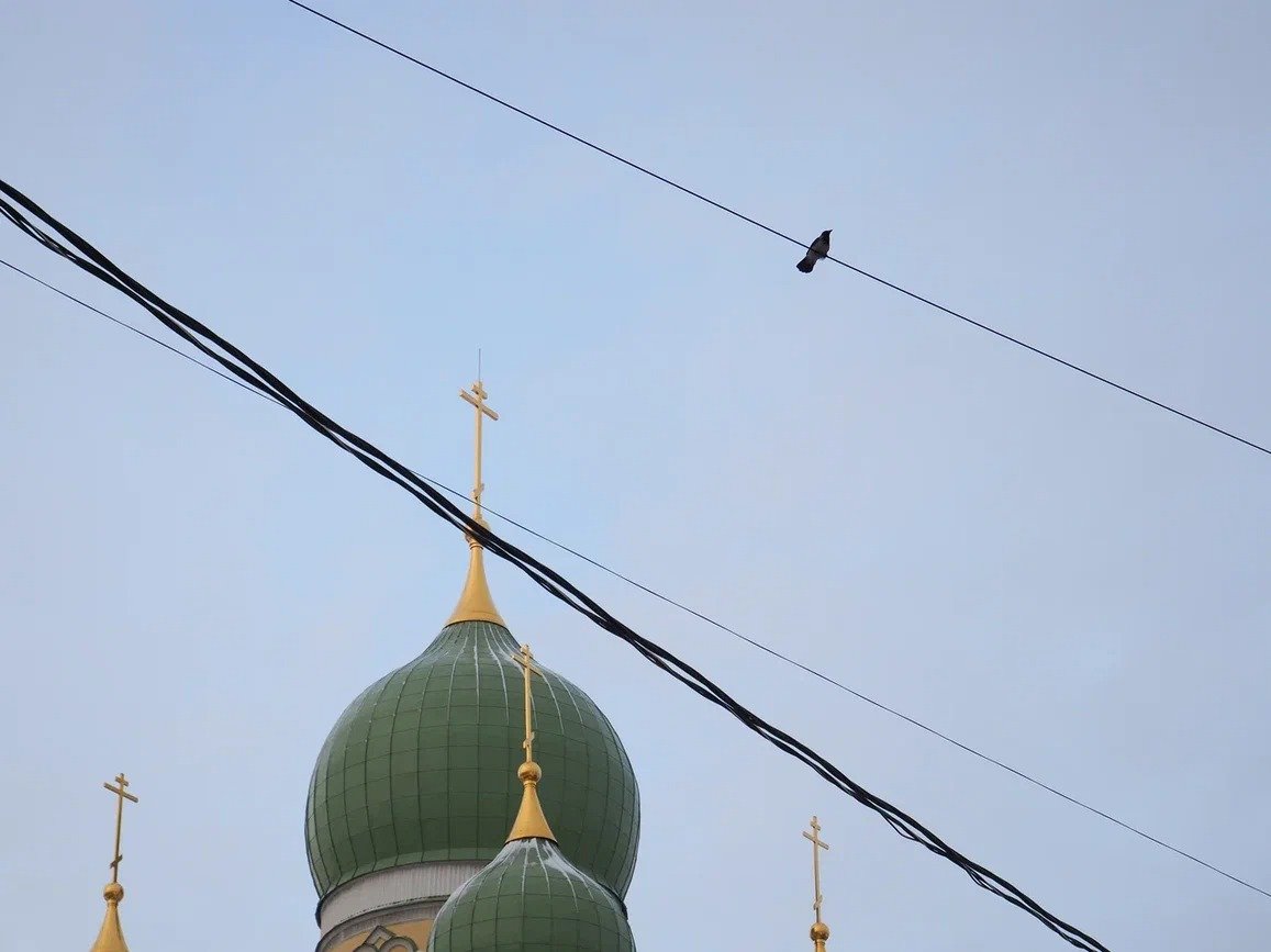 Фото: Дмитрий Абрамов / МР7