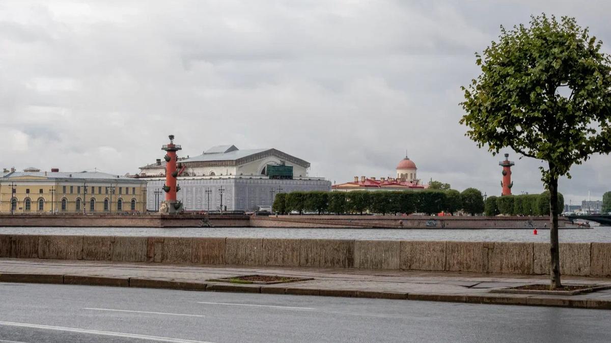 Здания Биржи и Консерватории отреставрируют к выборам 2024 года