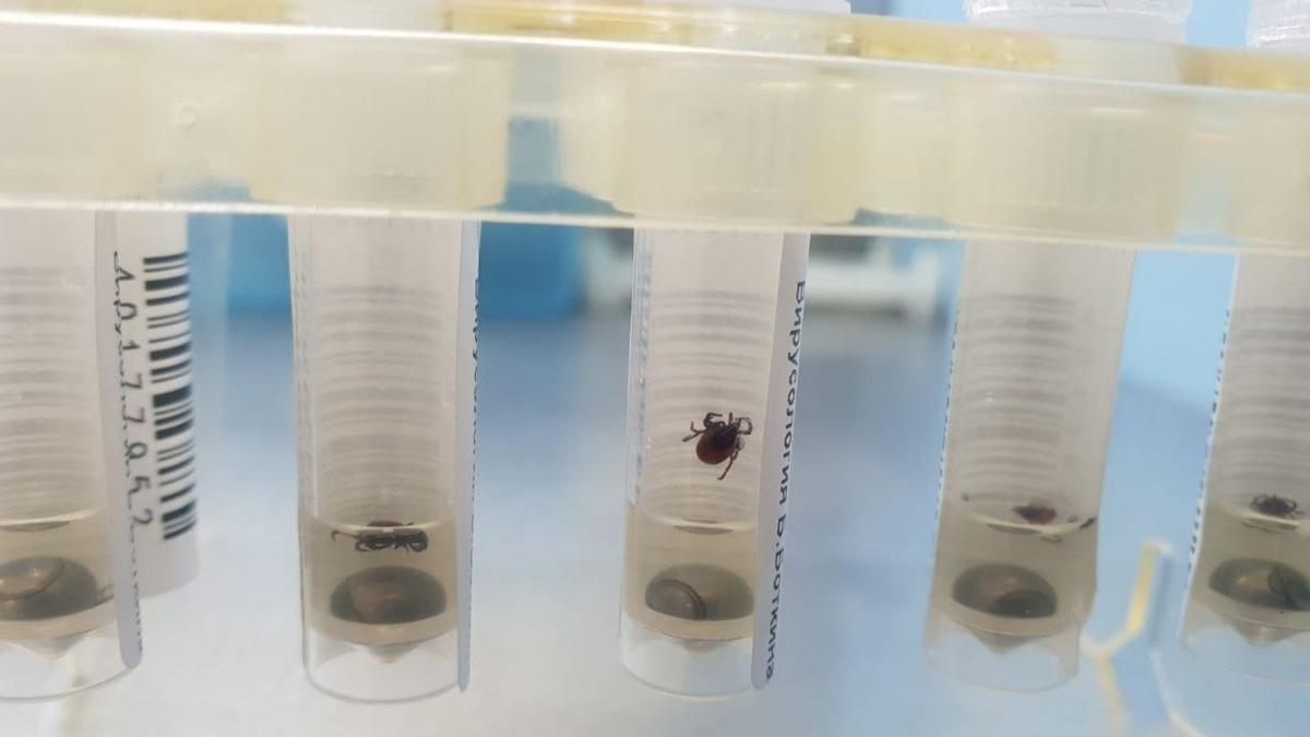 Фото: пресс-служба комитета по здравоохранению Петербурга