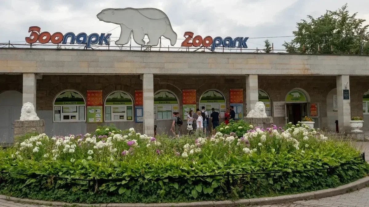 Фото: Олег Золото / MR7