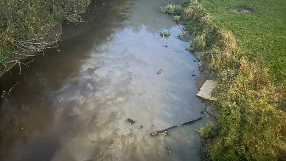 Фото: росприроднадзор