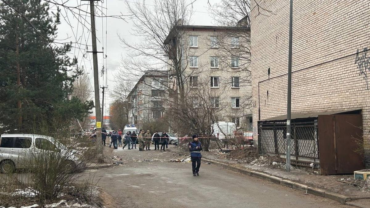 Ни окон, ни дверей, один кот остался»: жильцы дома на Пискарёвском проспекте  рассказали о взрыве | 02.03.2024 | Санкт-Петербург - БезФормата