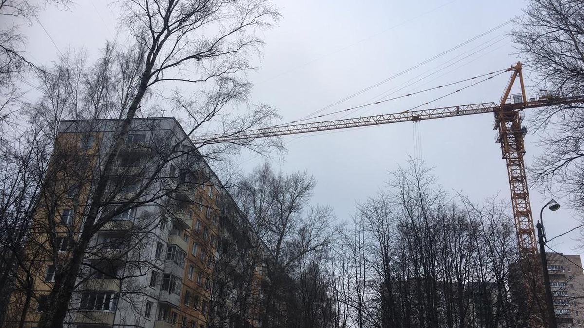 «Дребезжала посуда, дрожала мебель»: петербуржцы жалуются на строительные работы в парке имени Сахарова