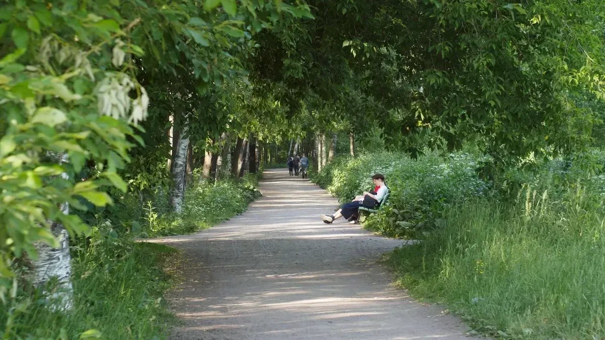 Фото: Дмитрий Абрамов / MR7