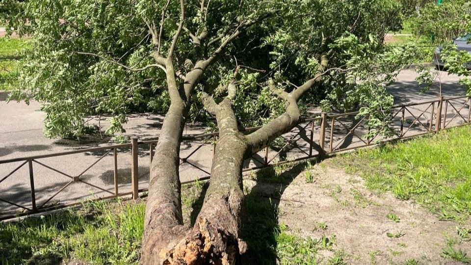 Фото: «Мегаполис»